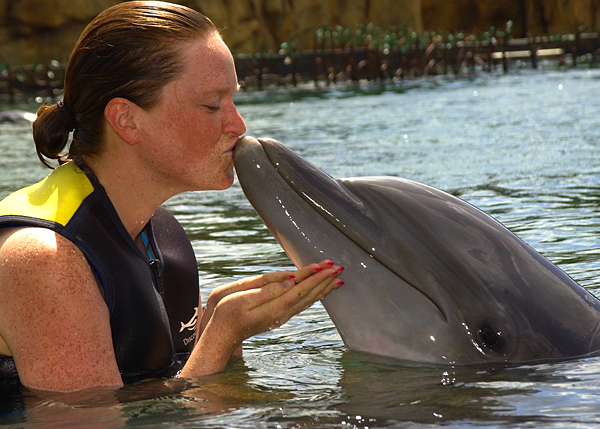 Dolphin Kiss at Discovery Cove
