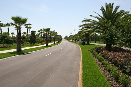 Ridgewood Lakes - Orlando Florida